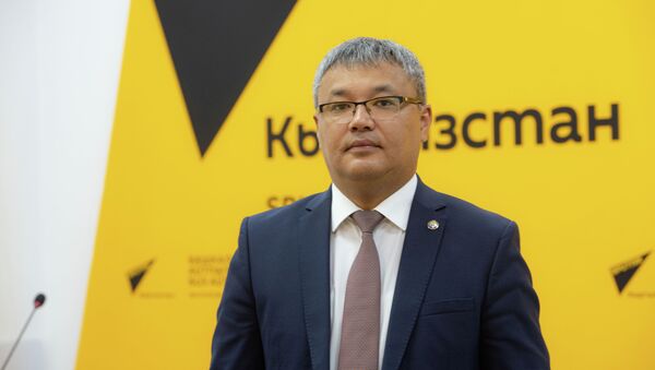 Заместитель министра экономики и финансов КР Данияр Иманалиев - Sputnik Кыргызстан