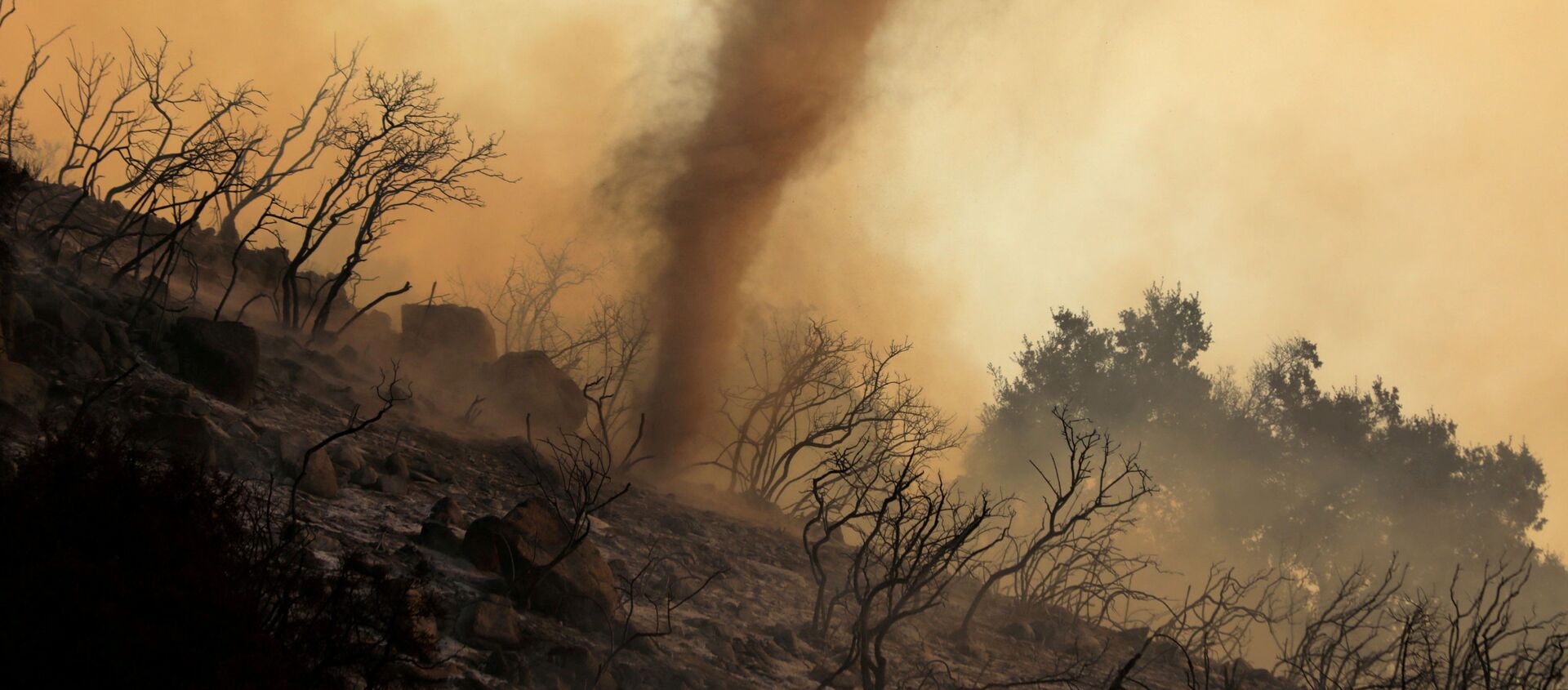 Пепельный вихрь во время природных пожаров в Калифорнии  - Sputnik Кыргызстан, 1920, 12.08.2021