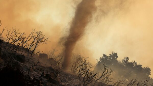 Пепельный вихрь во время природных пожаров в Калифорнии  - Sputnik Кыргызстан