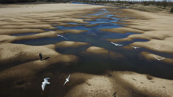 Птицы летают над почти засохшей рекой Old Parana во время засухи в Аргентине  - Sputnik Кыргызстан