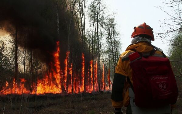 Сотрудник Авиалесоохраны во время тушения лесного пожара в Якутии - Sputnik Кыргызстан