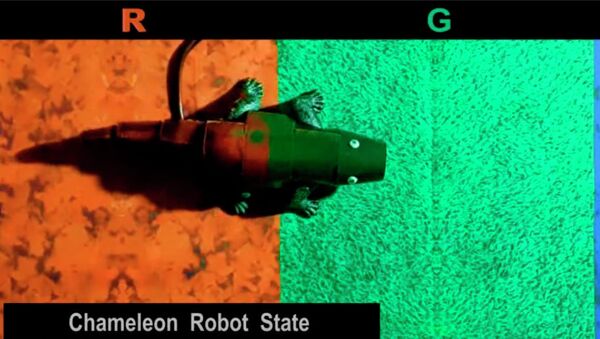 Создан робот-хамелеон, он может сливаться с окружающей средой — видео - Sputnik Кыргызстан