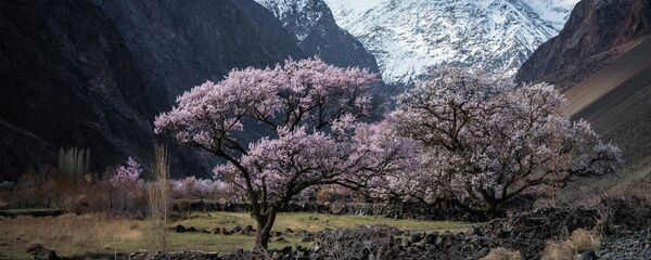 Кыргызстанга саякат: келген турист кайда, канчага жана кантип эс алса болот - Sputnik Кыргызстан