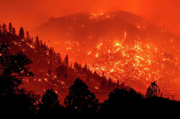 Лесные пожары в Калифорнии - Sputnik Кыргызстан