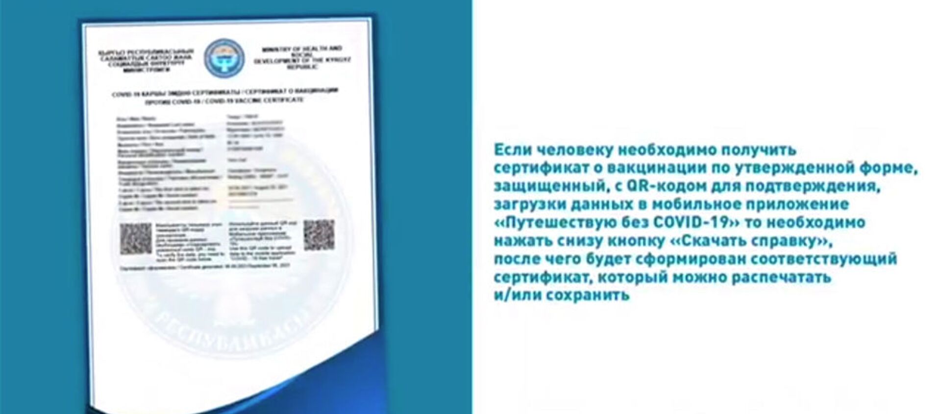 Как скачать сертификат о вакцинации от COVID — видеоинструкция Минздрава КР - Sputnik Кыргызстан, 1920, 09.09.2021