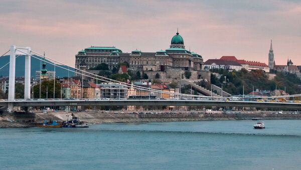 Мост Эржебет через Дунай и Королевский дворец в Будапеште. Архивное фото - Sputnik Кыргызстан