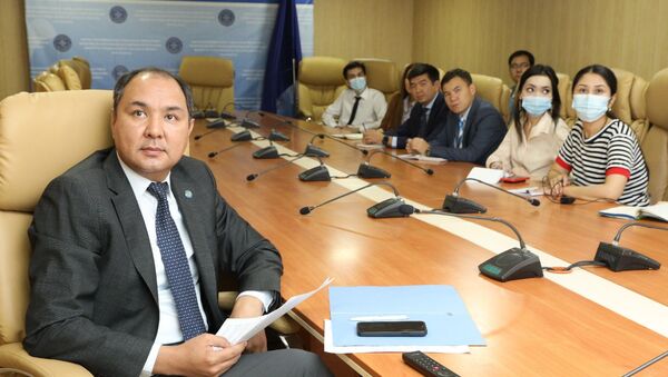 ТИМ кызматкерелри санарип дипломатия боюнча вебинарда - Sputnik Кыргызстан