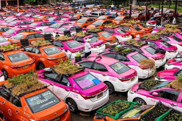 Грядки для выращивания овощей на автомобилях в Таиланде - Sputnik Кыргызстан