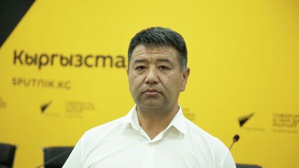 Председатель Государственной таможенной службы при Министерстве экономики и финансов КР Самат Исабеков - Sputnik Кыргызстан