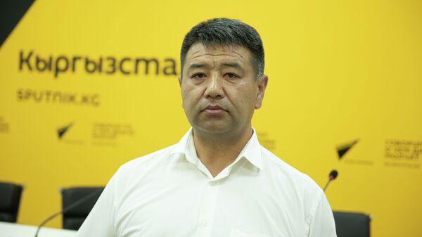 Председатель Государственной таможенной службы КР Самат Исабеков. Архивное фото - Sputnik Кыргызстан