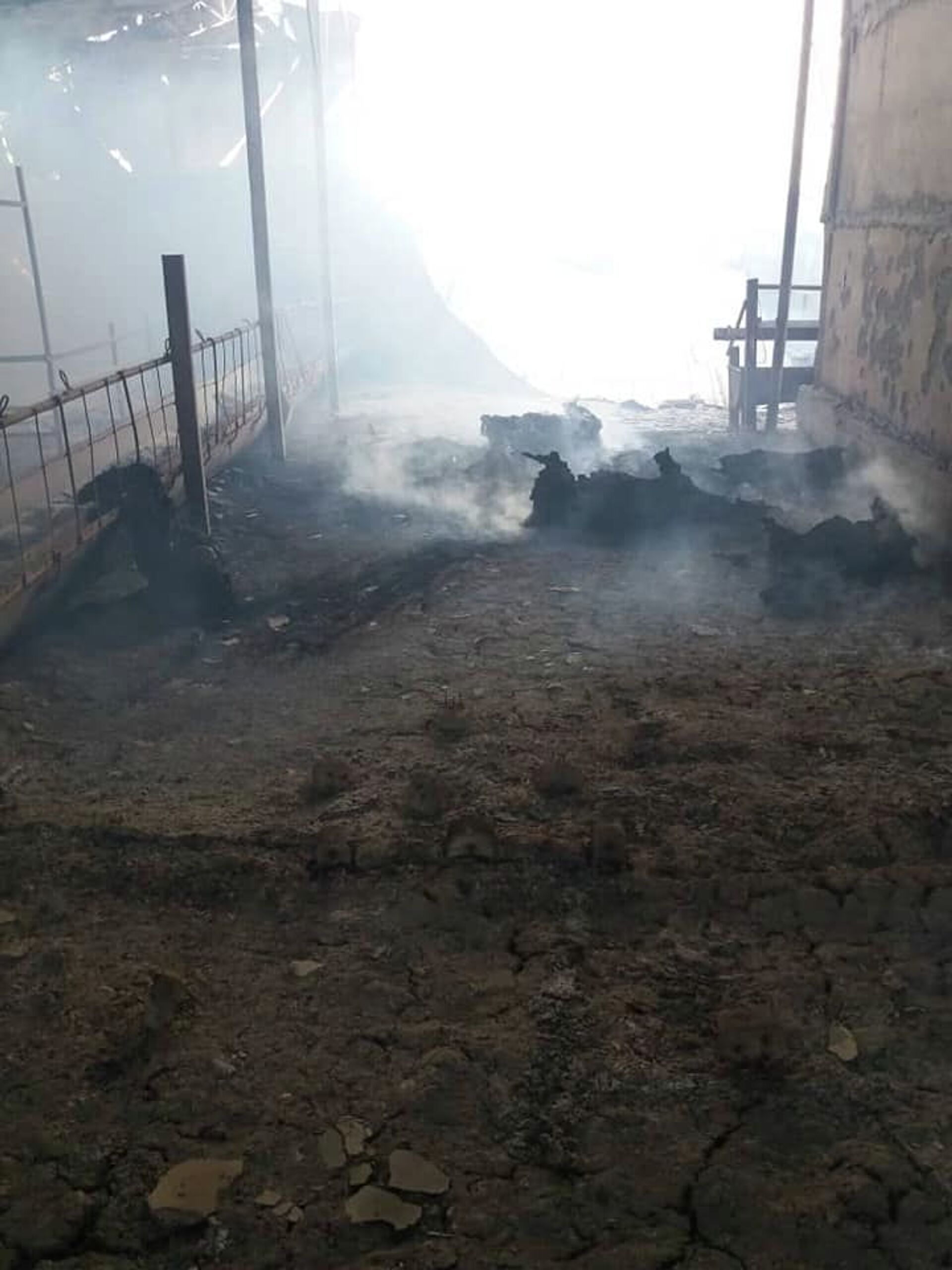15 овец сгорели при пожаре в Чуйской области — фото с места ЧП - Sputnik Кыргызстан, 1920, 25.09.2021