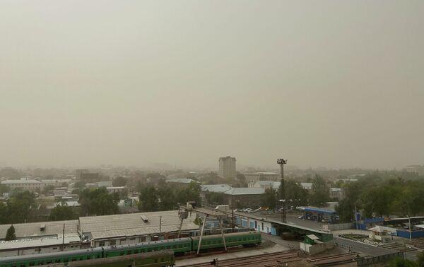 В Государственном комитете по экологии объяснили, что пылевая завеса накрыла Бишкек из-за изменения погоды - Sputnik Кыргызстан
