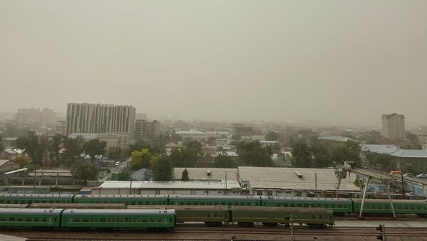 Сильный ветер и пыль в Бишкеке - Sputnik Кыргызстан