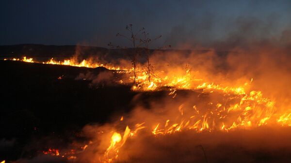 Пожар в горах. Архивное фото - Sputnik Кыргызстан