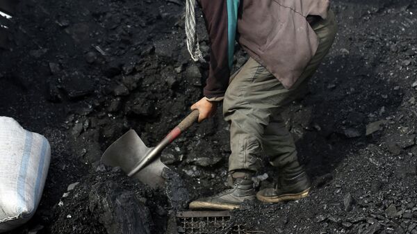 Продавец разгружает уголь. Архивное фото - Sputnik Кыргызстан