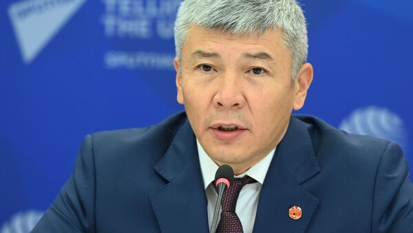 Министр ЕЭК по таможенному сотрудничеству Максат Мамытканов  - Sputnik Кыргызстан