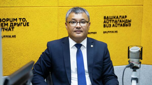 Экономика жана финансы министринин орун басары Данияр Иманалиев - Sputnik Кыргызстан