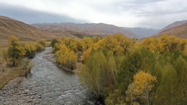Красота! Осенний пейзаж с высоты птичьего полета — видео с Чаткала - Sputnik Кыргызстан