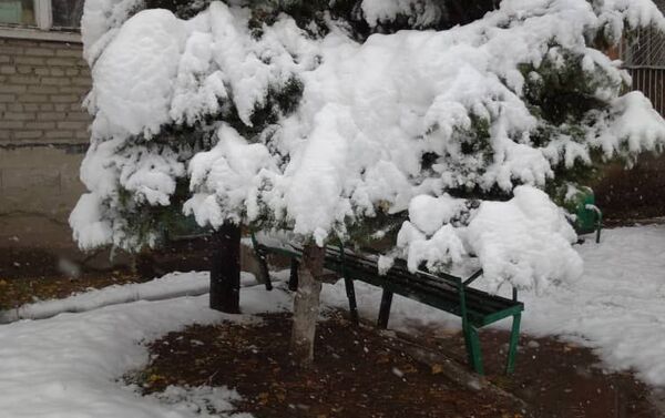 В городе Караколе и на востоке Иссык-Кульской области выпал снег - Sputnik Кыргызстан