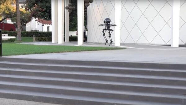 Заманбап роботтор: учат, скейтборд тебет. Кызыктуу видео - Sputnik Кыргызстан