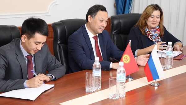 Министр иностранных дел Кыргызстана Руслан Казакбаев - Sputnik Кыргызстан