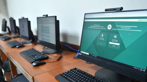 Компьютеры для посетителей налоговой в Бишкеке. Архивное фото - Sputnik Кыргызстан