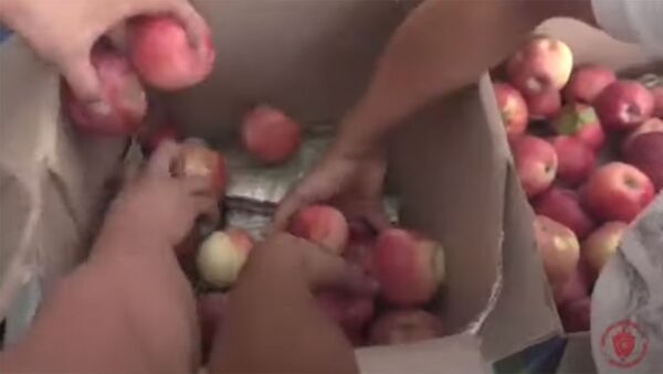Около 3 кг гашиша спрятали в коробке с яблоками в магазине Бишкека. Видео - Sputnik Кыргызстан