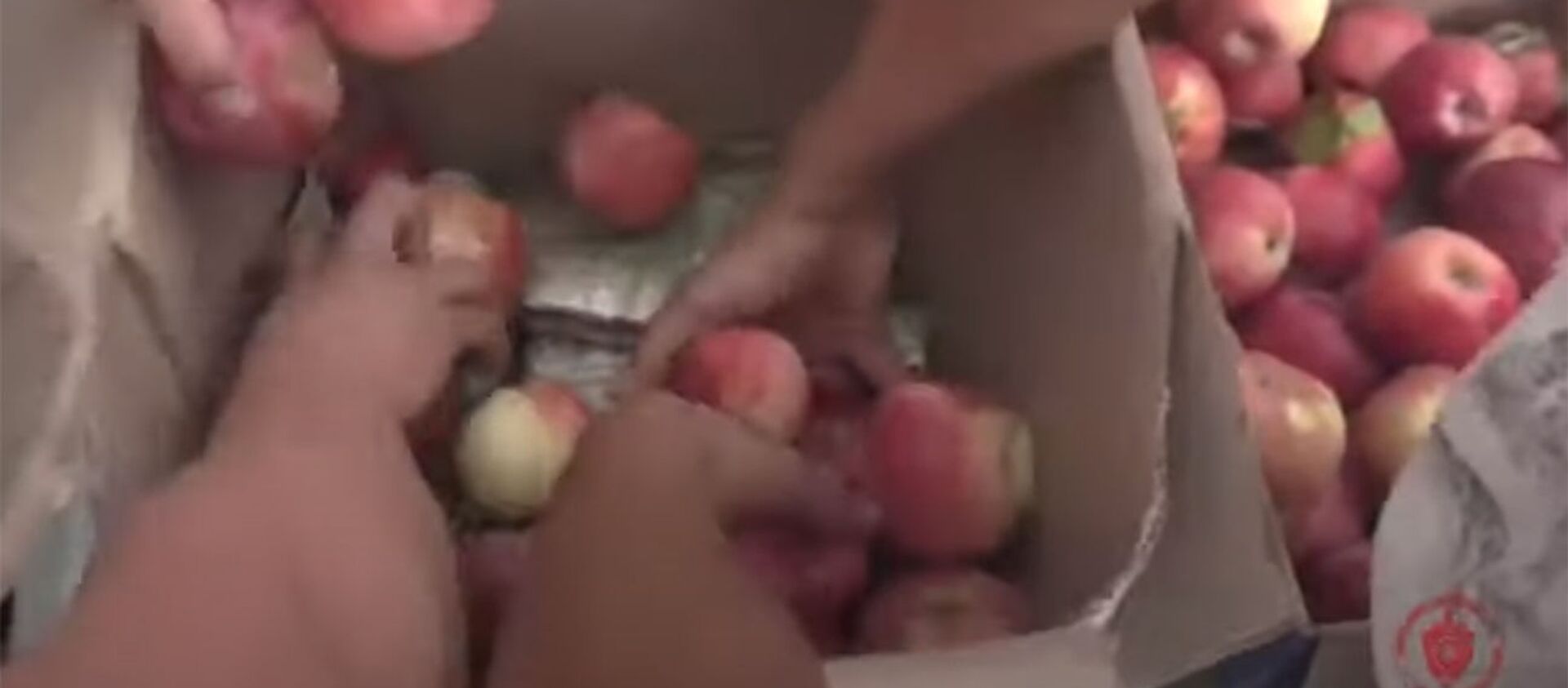 Около 3 кг гашиша спрятали в коробке с яблоками в магазине Бишкека. Видео - Sputnik Кыргызстан, 1920, 15.10.2021