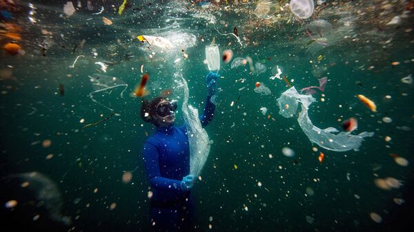 Фотография репортера из Турции Шебнем Кошкун Новая опасность для подводного мира: отходы COVID-19 - Sputnik Кыргызстан