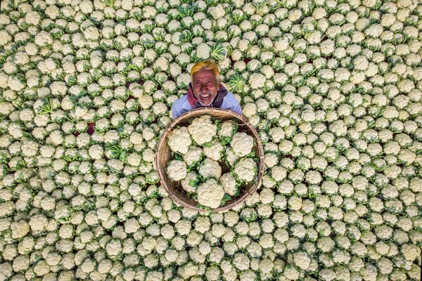 Снимок Рафида Ясара из Бангладеш Счастливый фермер, получивший особую отметку жюри в категории Моя планета, одиночные фотографии конкурса имени Андрея Стенина - Sputnik Кыргызстан