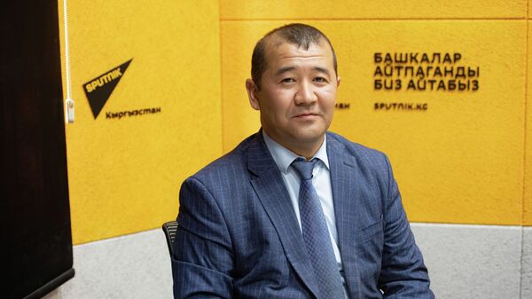 Экономика жана финансы министринин орун басары Бекболот Алиев - Sputnik Кыргызстан