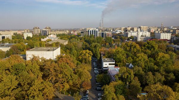 Вид на центр Бишкека с высоты, в один из осенних дней. Архивное фото - Sputnik Кыргызстан