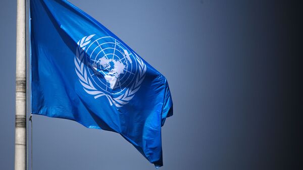 Флаг ООН на территории Дворца мира в Гааге. Архивное фото - Sputnik Кыргызстан