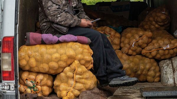 Продавец картофеля. Архивное фото - Sputnik Кыргызстан