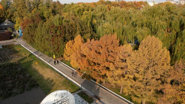 Вид с дрона на пожелтевшие деревья в Дубовом парке Бишкека. Архивное фото  - Sputnik Кыргызстан