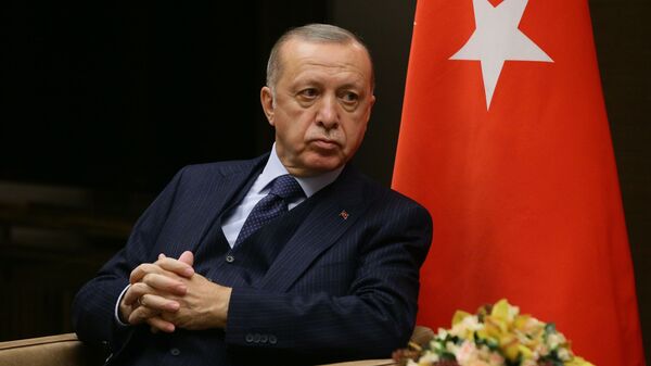Президент РФ В. Путин провел переговоры с президентом Турции Р. Эрдоганом - Sputnik Кыргызстан