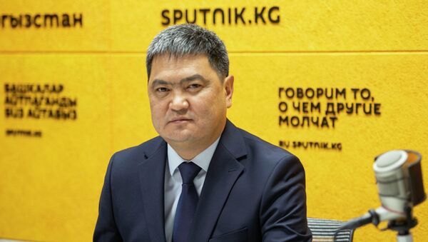Глава администрации Ноокатского района Данир Иманалиев - Sputnik Кыргызстан