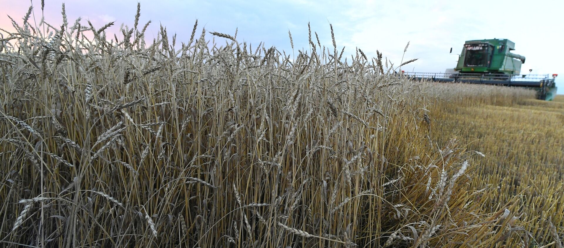 Уборка урожая пшеницы. Архивное фото - Sputnik Кыргызстан, 1920, 29.10.2021