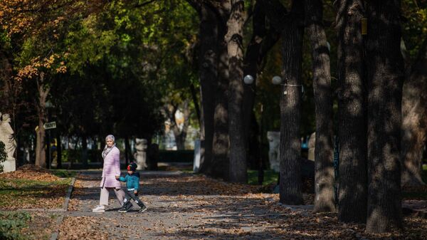 Женщина с ребенком гуляют в парке Чингиза Айтматова в Бишкеке. Архивное фото - Sputnik Кыргызстан