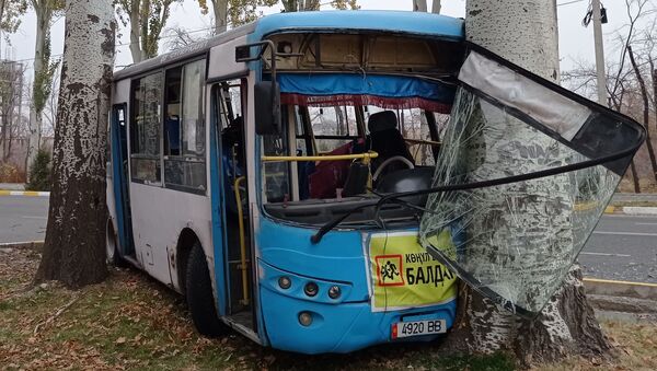 Пассажирский автобус врезался в тополь по проспекту Чингиза Айтматова в Бишкеке - Sputnik Кыргызстан