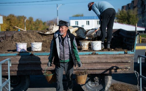 Экологическая акция Сдай макулатуру — получи саженец в Бишкеке - Sputnik Кыргызстан
