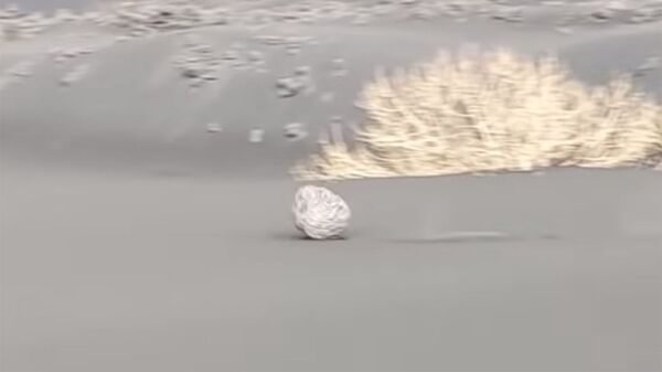 Лавовая бомба несется по горе на Канарах — видео - Sputnik Кыргызстан