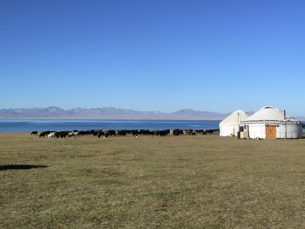 Лагерь скотоводов на летнем пастбище (джайлоо) Сон-Кол в Нарынской области - Sputnik Кыргызстан