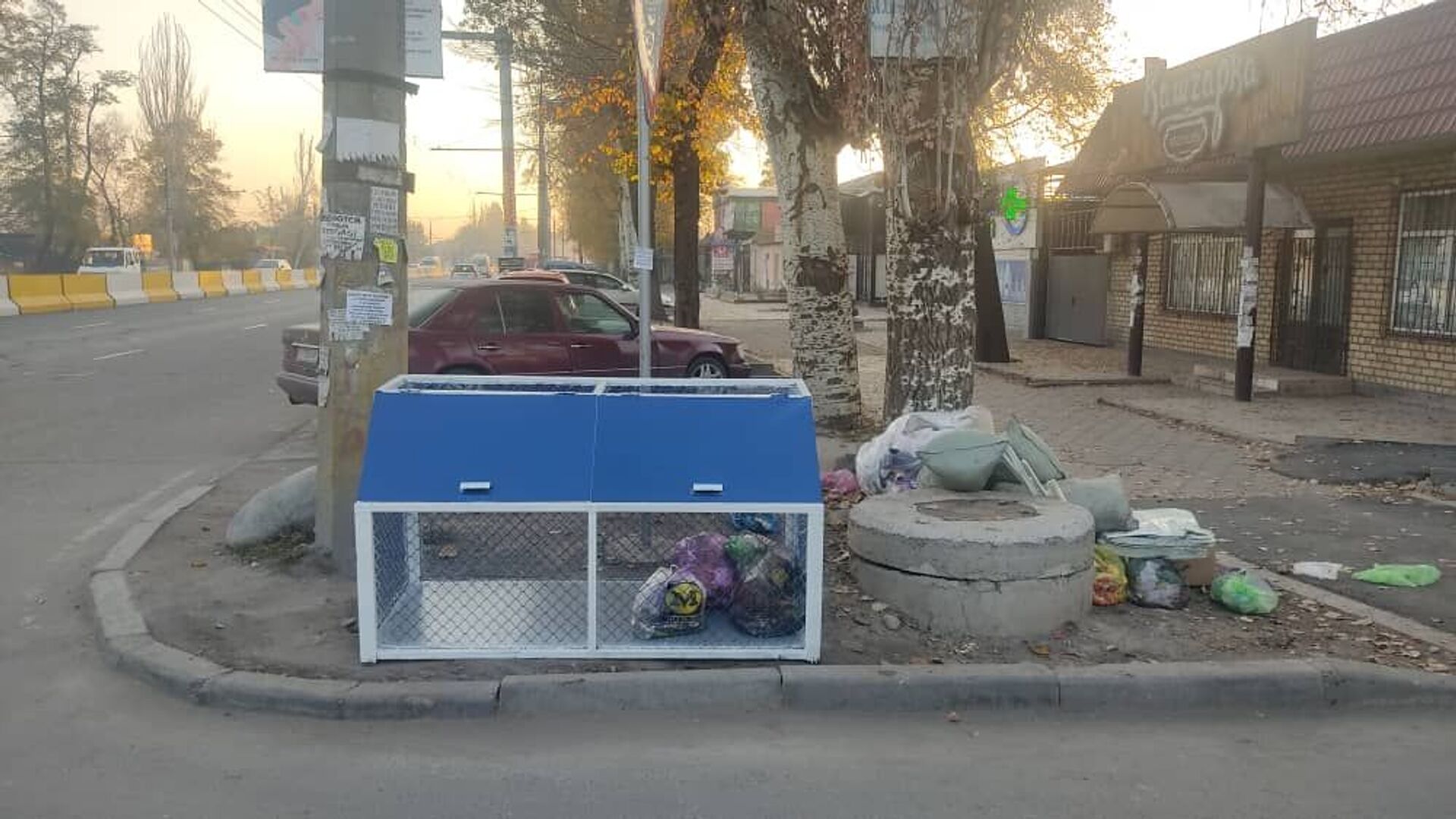 Сеточный мусоросборник установленный на одной из улиц Бишкека - Sputnik Кыргызстан, 1920, 10.11.2021