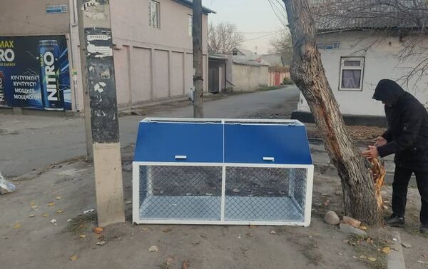 Мэрия призвала не выбрасывать мусор в неположенном месте и уважать труд работников коммунальных служб. - Sputnik Кыргызстан