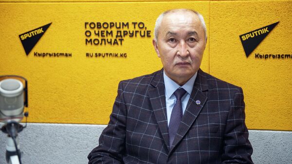 Тоо-кен тармагы боюнча эксперт Дүйшөнбек Камчыбеков - Sputnik Кыргызстан