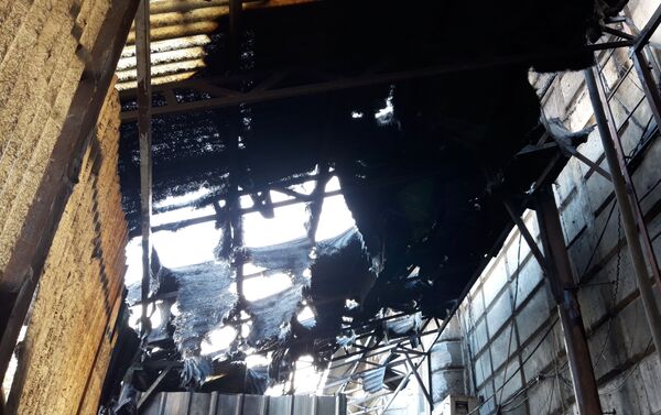 Пожар на территории ресторана Алтын-Казына в Бишкеке потушен - Sputnik Кыргызстан