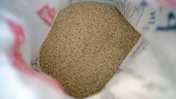 Уборка и переработка риса в Краснодарском крае - Sputnik Кыргызстан