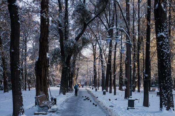 Снег выпал в Бишкеке 17 ноября - Sputnik Кыргызстан