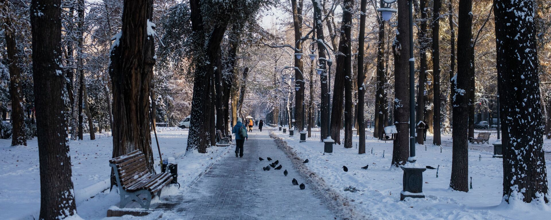 Бишкек после сильного снегопада. Архивное фото  - Sputnik Кыргызстан, 1920, 14.12.2023